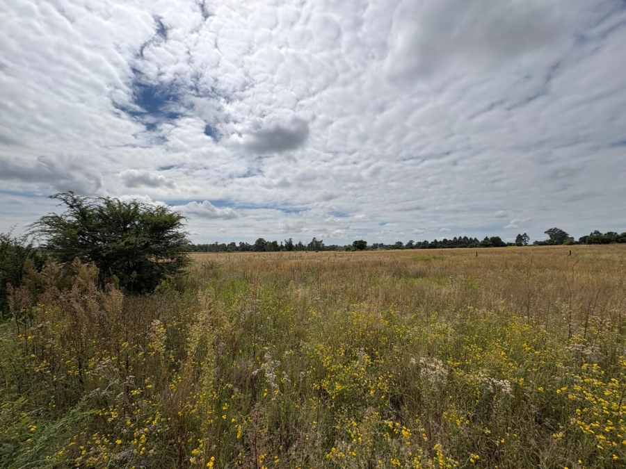 0 Bedroom Property for Sale in Vaalpark Free State